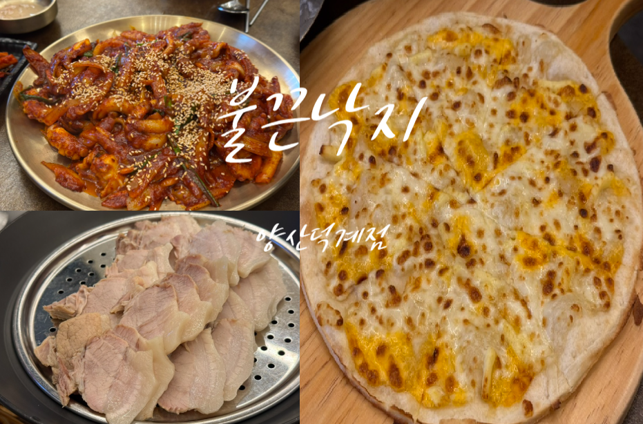 낙지볶음·수육·치즈피자, 불끈낙지스페셜의 세 가지 구성