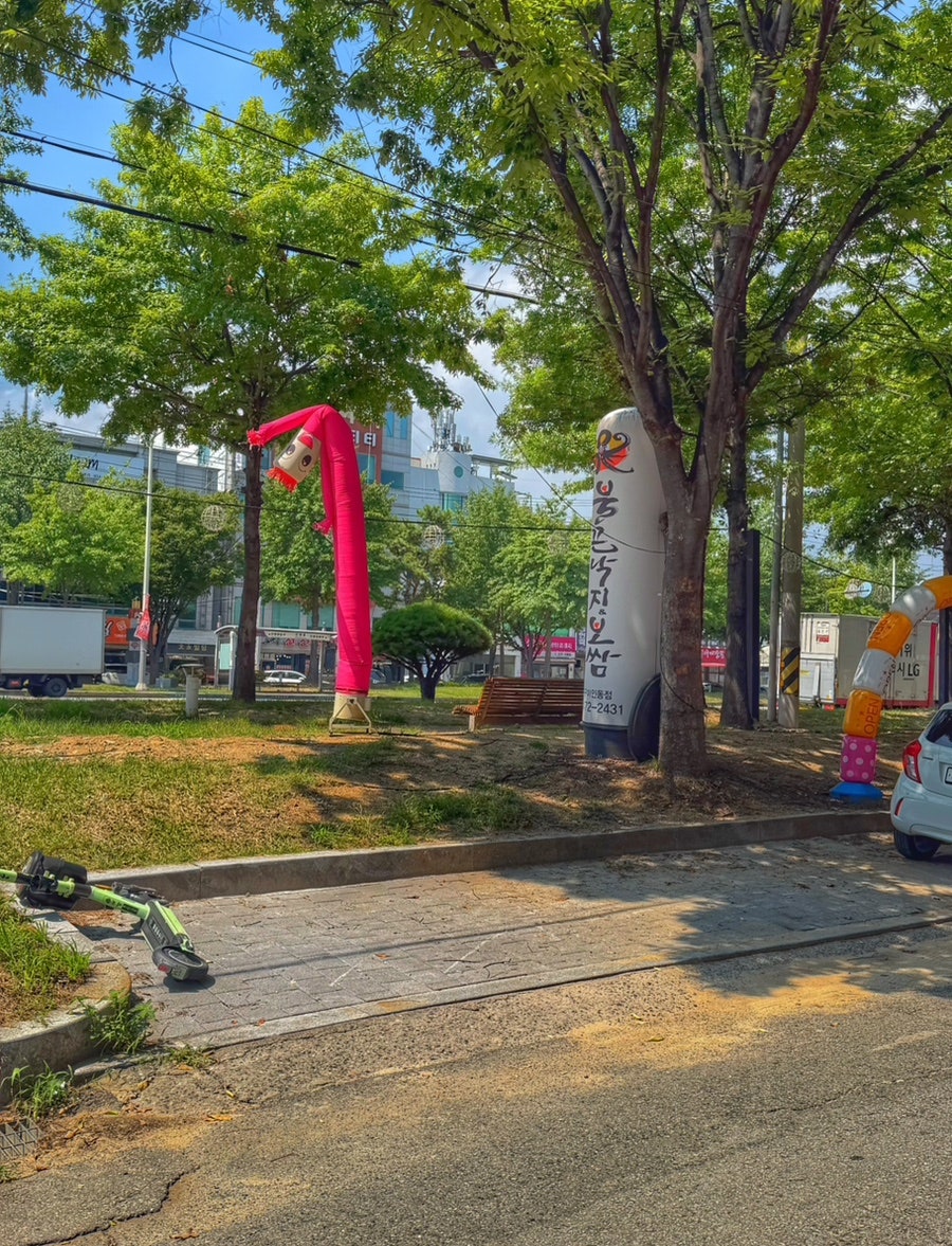 가로수길 옆에 세워진 불끈낙지보쌈 구미인동점 에어벌룬 간판
