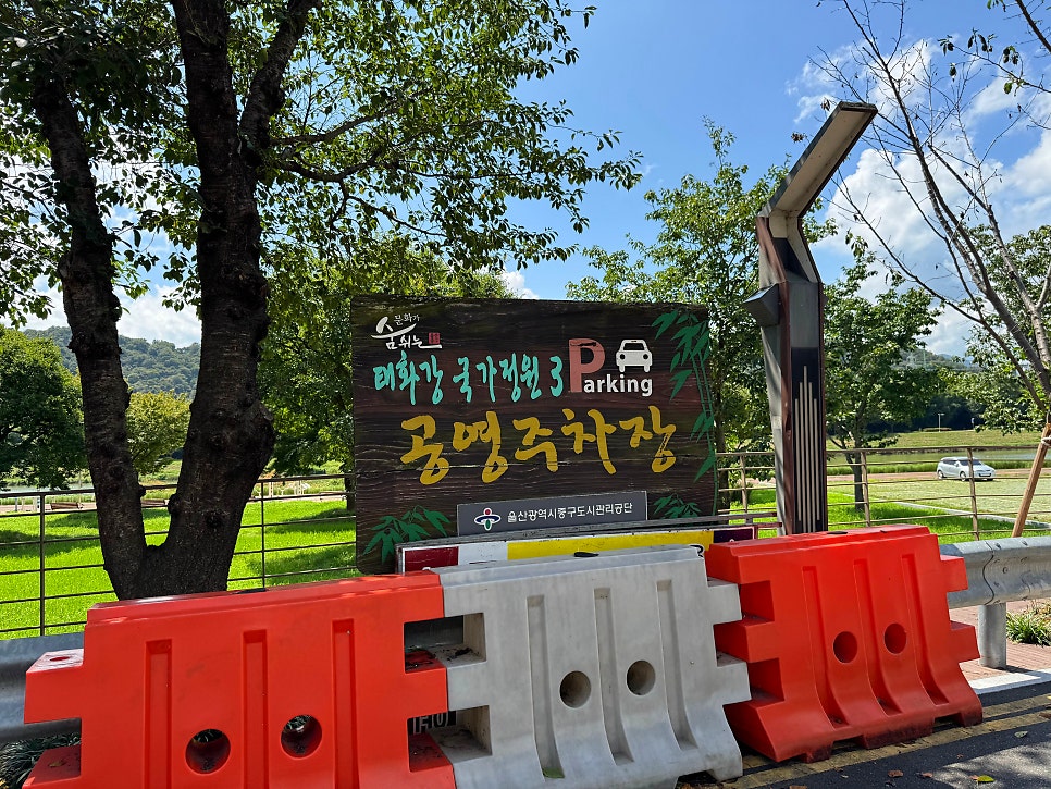 매장 앞 '태화강 국가정원 3 공영주차장' 나무 간판
