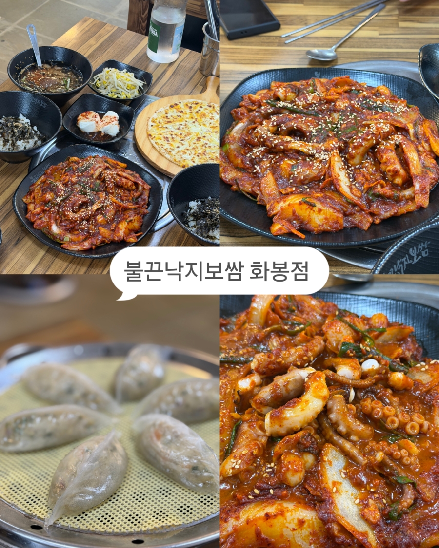 낙지볶음과 고르곤졸라피자, 묵사발, 연두부 상차림과 찜기에 담겨 나온 낙지만두