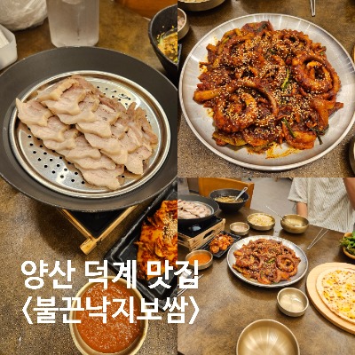 화로 위 보쌈과 큼직한 낙지볶음, 세트 구성을 한눈에 모은 사진