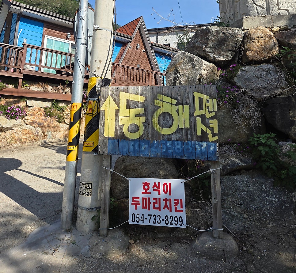 해안도로 길가에 세워진 동해펜션 손글씨 팻말과 호식이두마리치킨 안내문